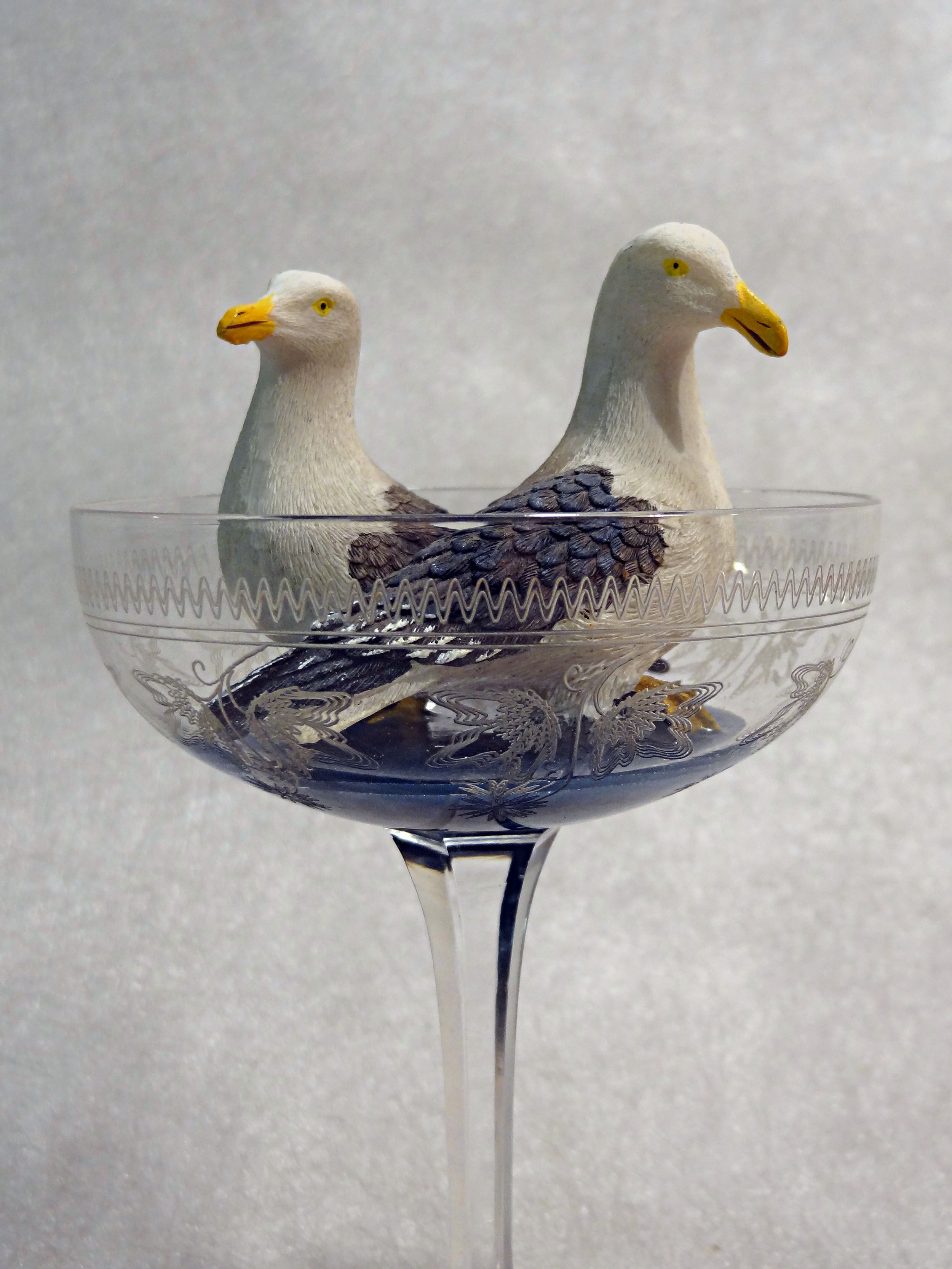 Les mouettes ont pied